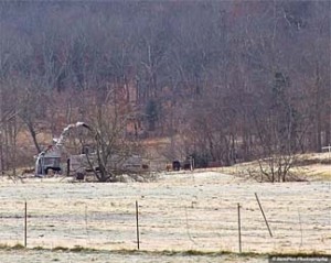 SumPicsbarn